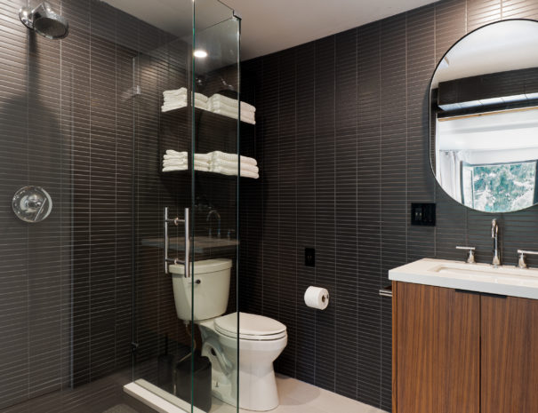 Guest Suite bathroom